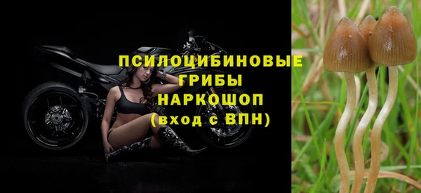 крисы Верхнеуральск