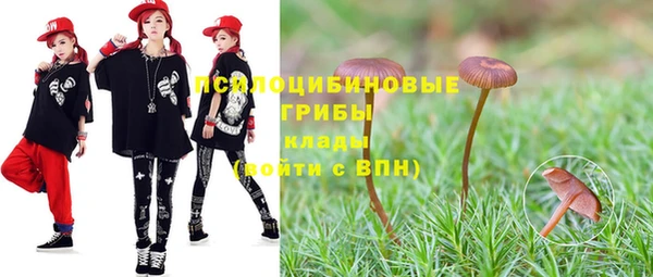 a pvp Верхний Тагил